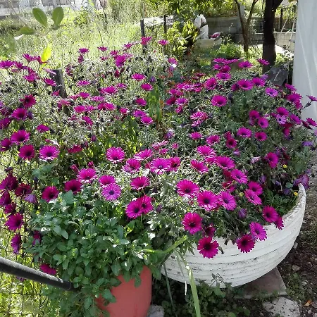 Toulatos Pantelis Διαμέρισμα