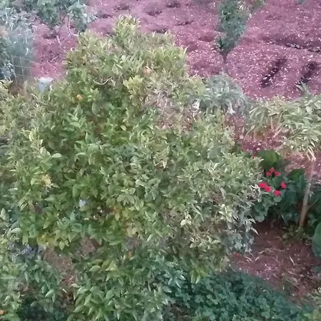 Apartmán Toulatos Pantelis