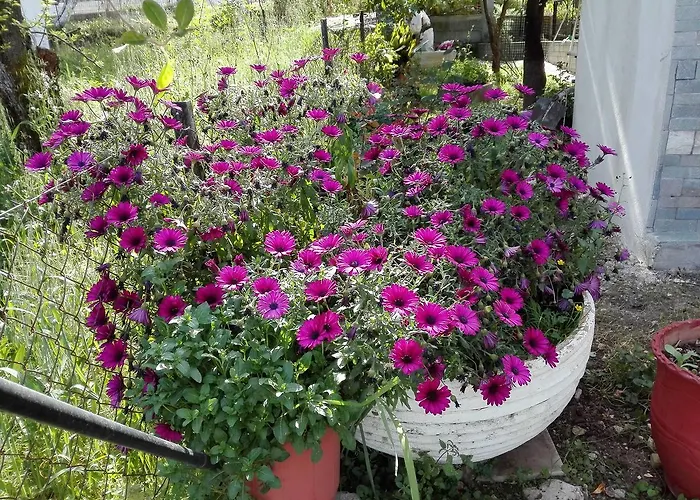Toulatos Pantelis Apartamento