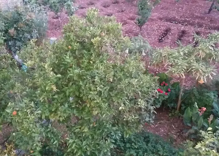 Apartamento Toulatos Pantelis